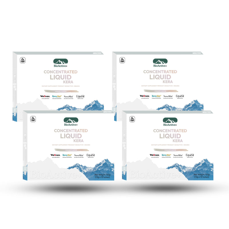 Bundle · 4