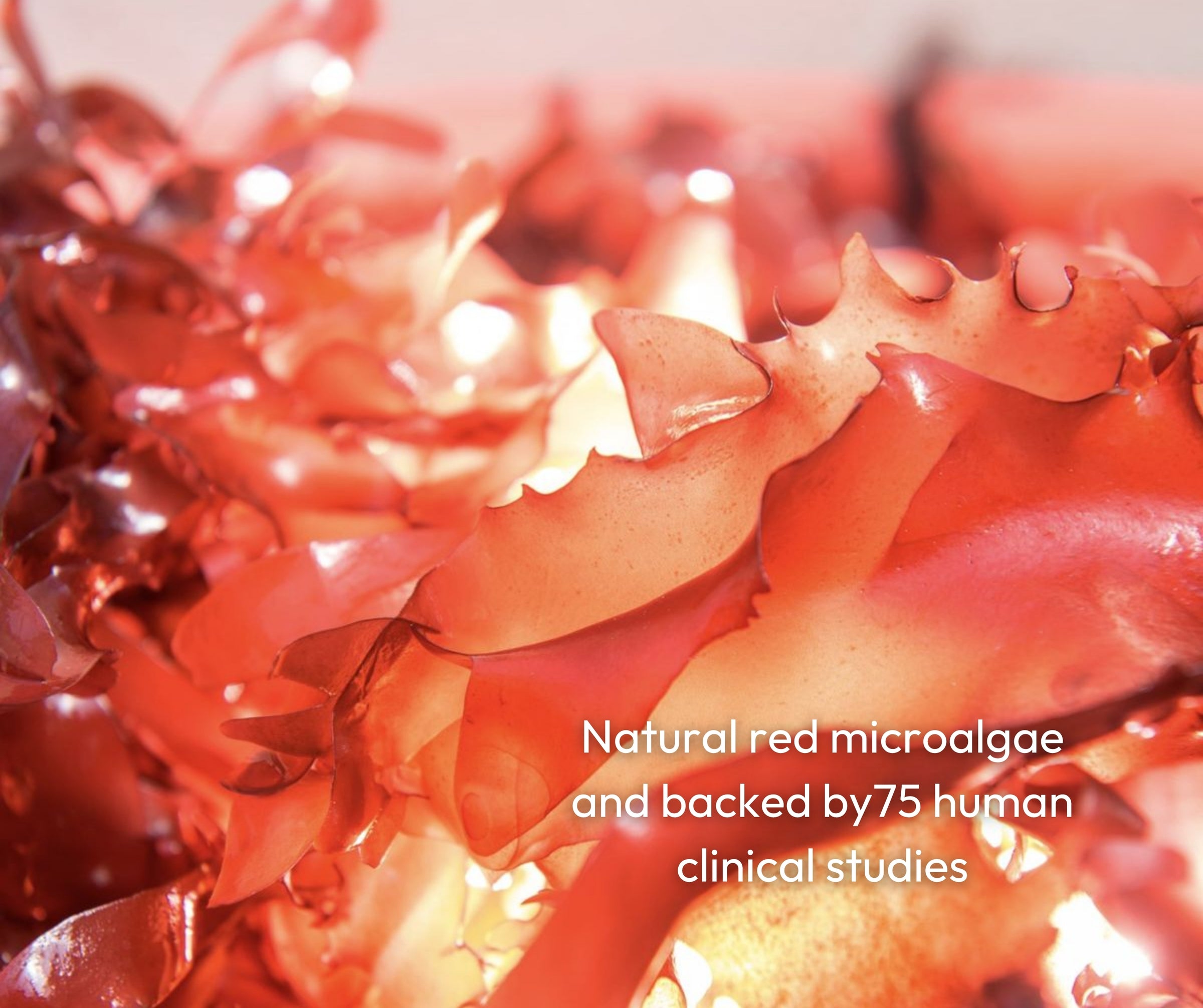 Astareal Astaxanthin from Japan