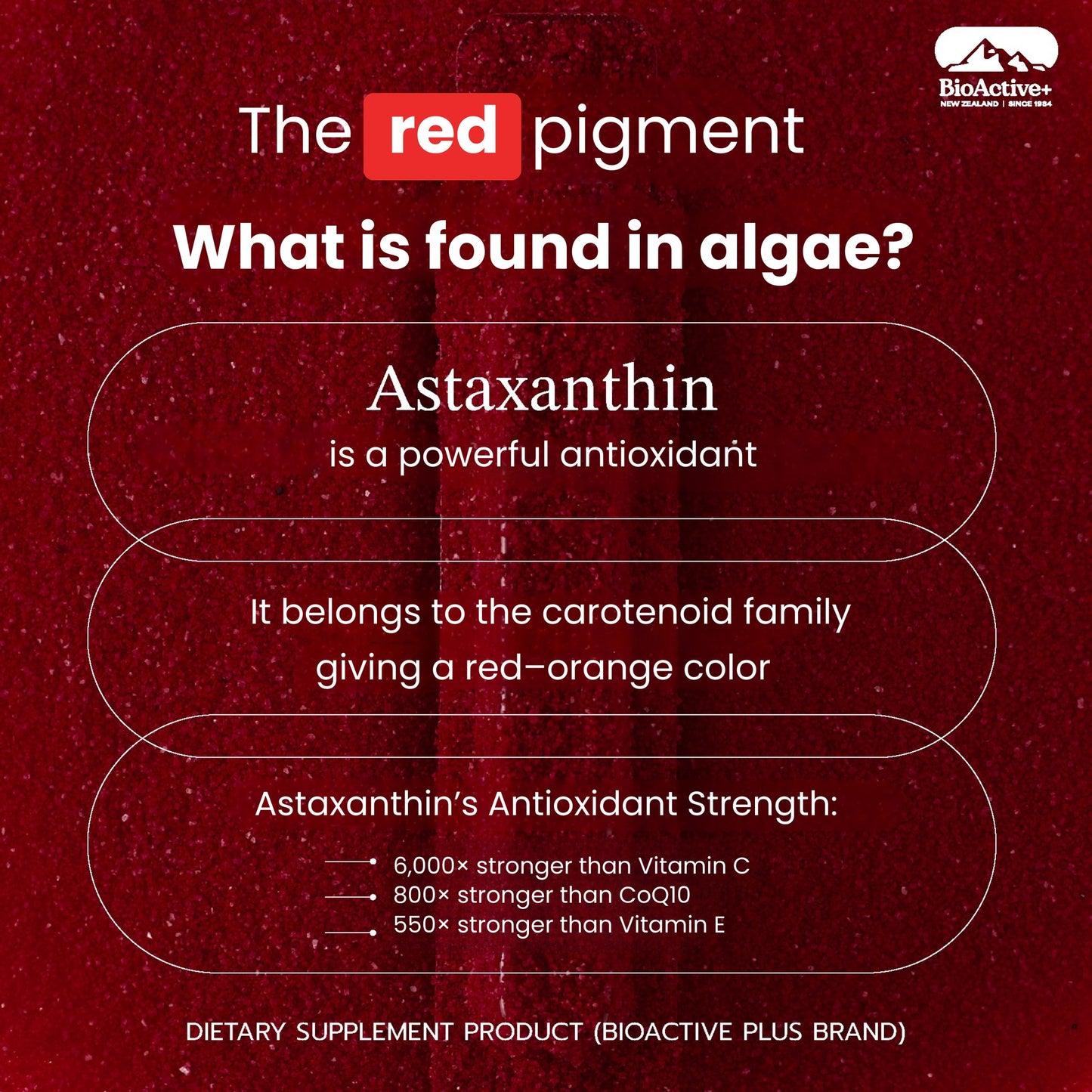 Concentrated Liquid Asta