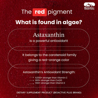 Concentrated Liquid Asta