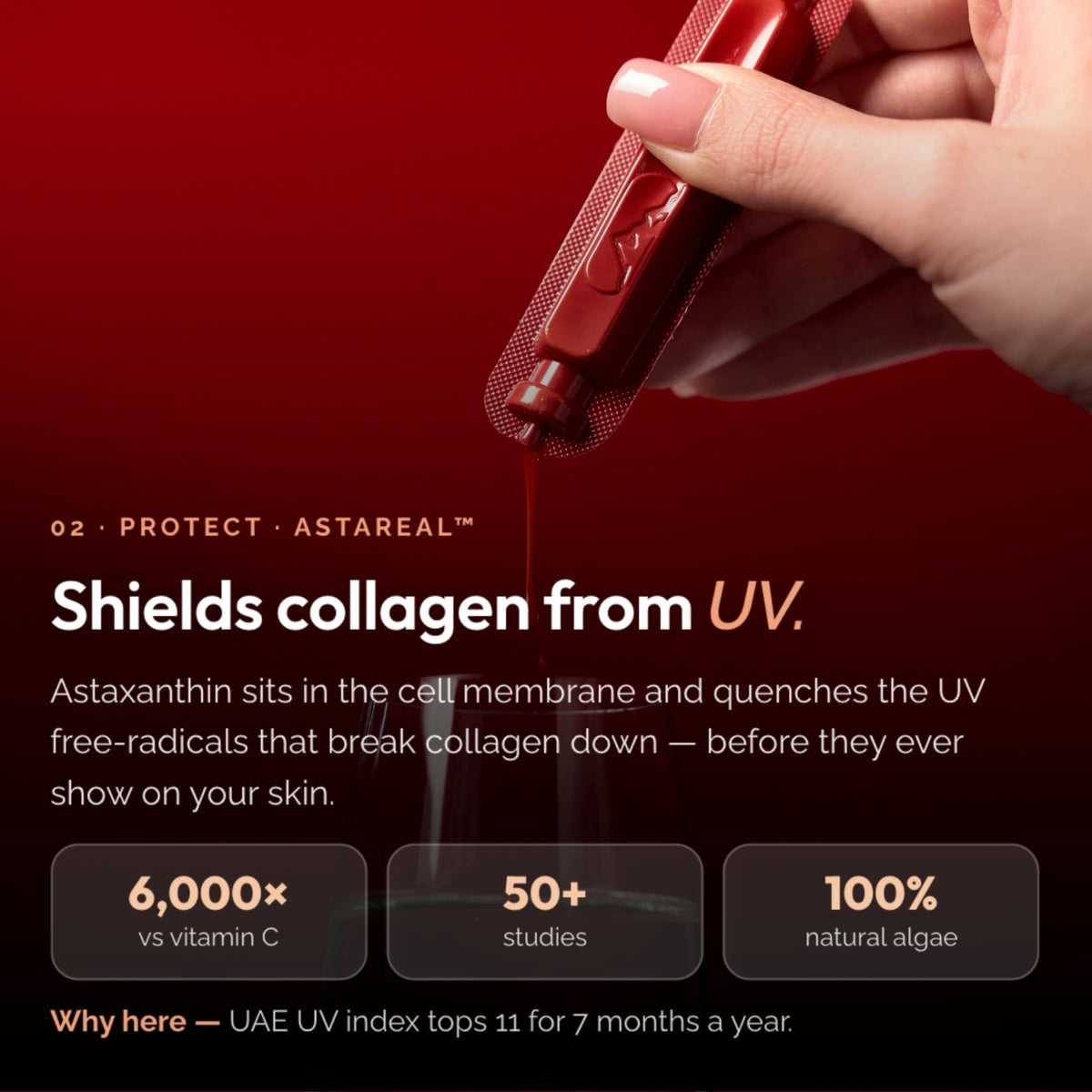 BioActive+ Skin Protocol