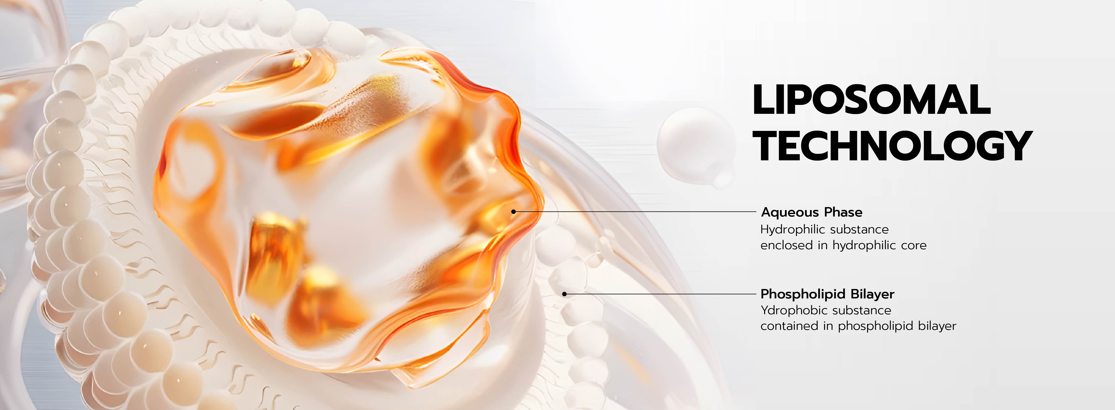 Advanced Nutraceutical Innovation