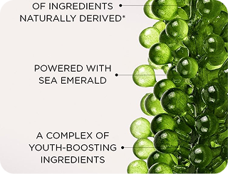 Tetra SOD from Spain