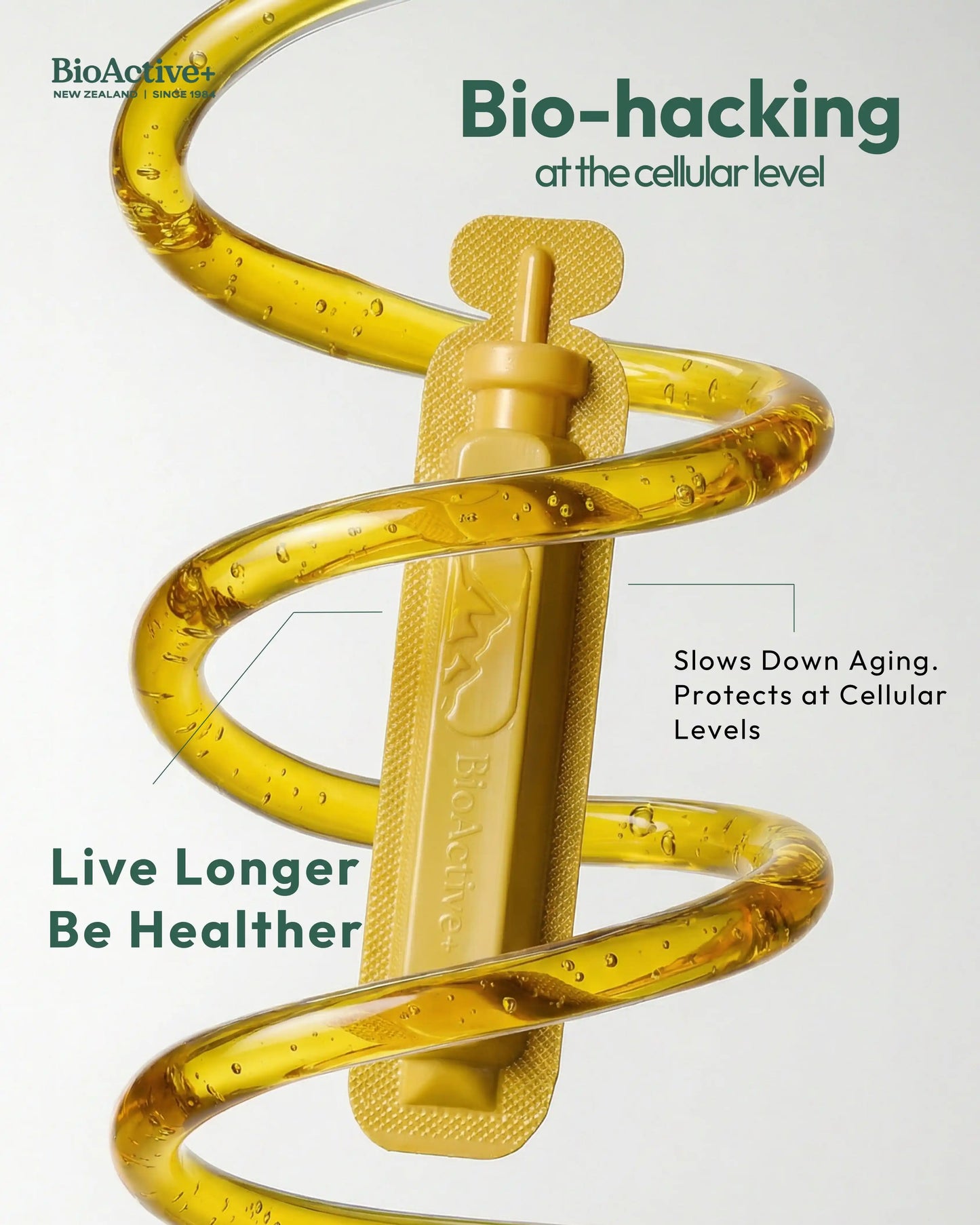 The Longer Life